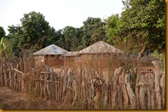 Gambia0694