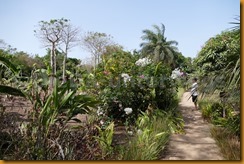 Guinea Bissau0436