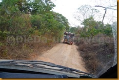 Guinea Bissau0608