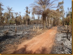 Guinea Bissau0755