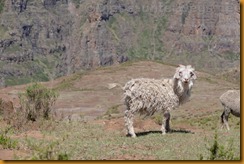 Lesotho0459