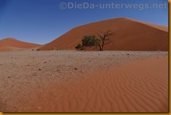 Namibia3261