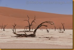 Namibia3767