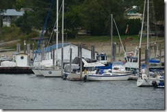 P1750818