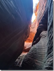 20241128_130920