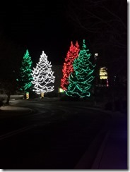 IMG_20241203_221255