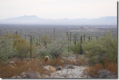 P1780912