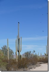 P1780968