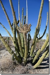 P1780996