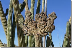P1780997