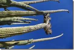 P1780998