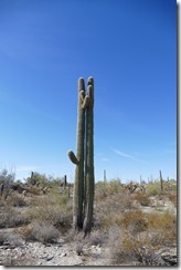 P1790011