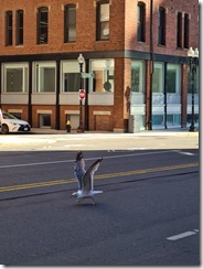 20250526_170911