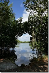 P1810084